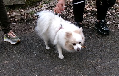 245-5768.jpg