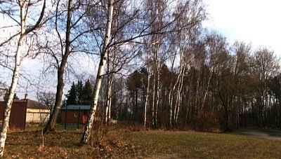 245-5790.jpg
