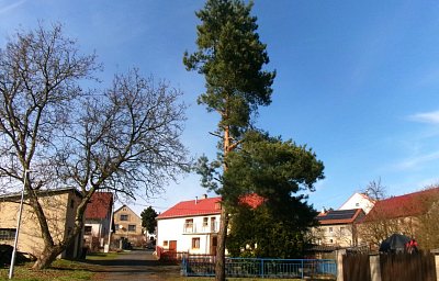 245-5959.jpg