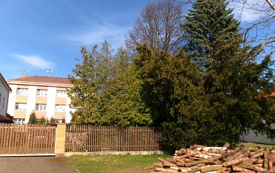245-5961.jpg
