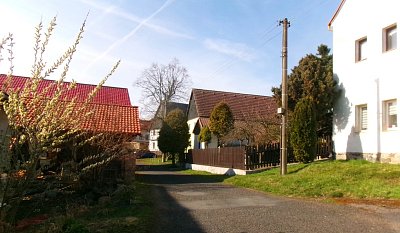 245-5962.jpg