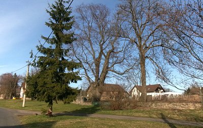 245-6004.jpg