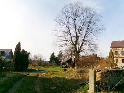 245-6007.jpg