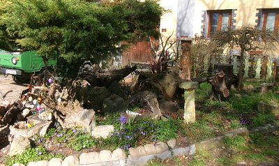 245-6037.jpg