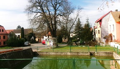 245-6040.jpg