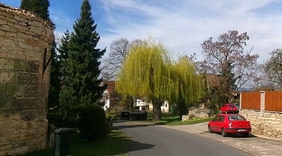 245-6053.jpg