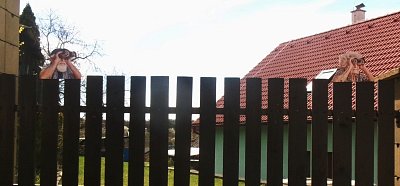 245-6058.jpg