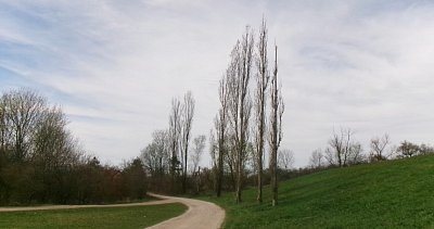 245-6061.jpg