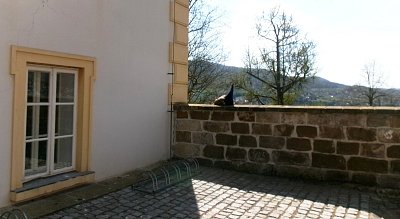 245-6276.jpg