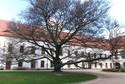 245-6289.jpg
