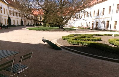245-6303.jpg