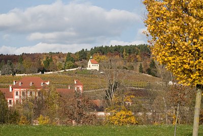 https://www.i60.cz/images/thumbs/25-190.jpg
