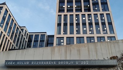26-190.jpg