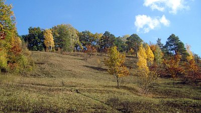 28.-dsc01065.jpg