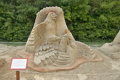 26