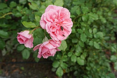 https://www.i60.cz/images/thumbs/30-100.jpg