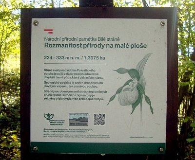 31.-dsc01064.jpg