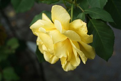 34-68.jpg