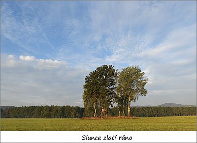 39-30.jpg