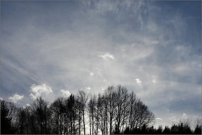 45-25.jpg