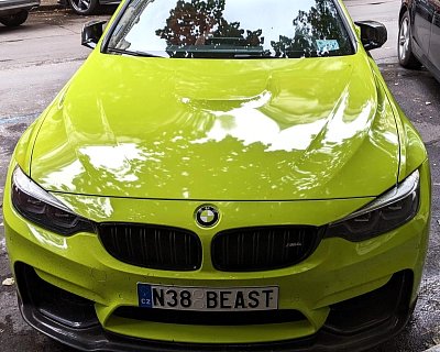 45c-n38-beast.jpg