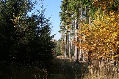 čas sklizně