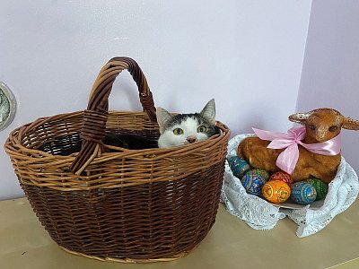 Veselé Velikonoce