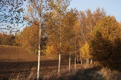 5-brizy-2.jpg