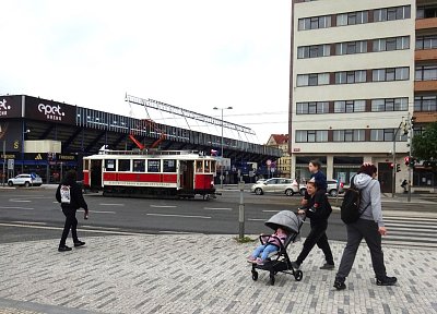 5-dsc08337.jpg