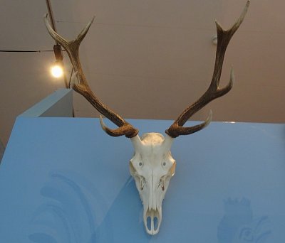 8-dsc06405.jpg