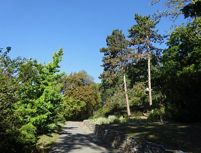 9-dsc05355.jpg