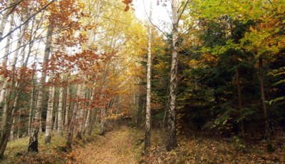 Barvy podzimu