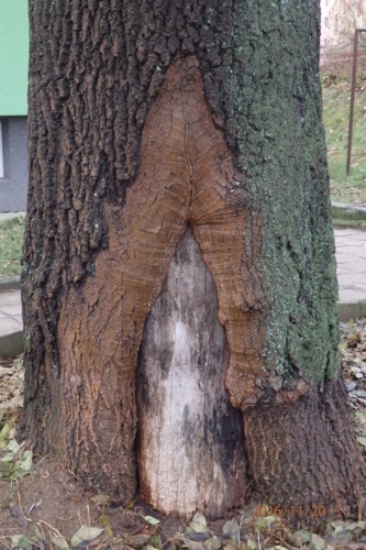 Bolelo,ale uzdravuji se