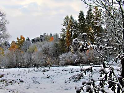 Pod peřinou