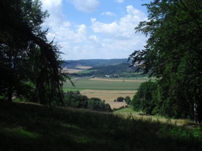 Bludné kořeny