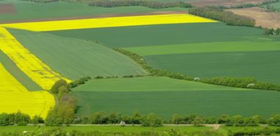 Český patchwork