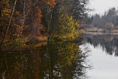 Divoká příroda.