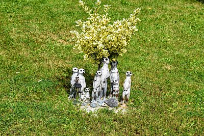 Vidíte něco?