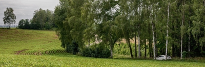 Cesta