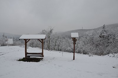 Ranní procházka
