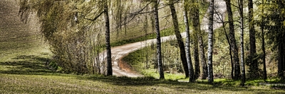 Cesta