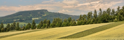 Ostaš