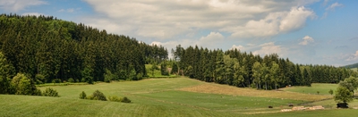 Letní den