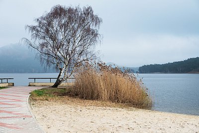 Máchovo jezero