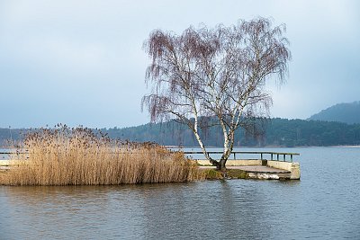 Máchovo jezero