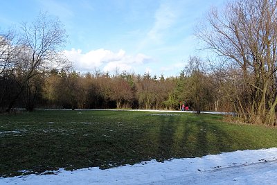 V parku