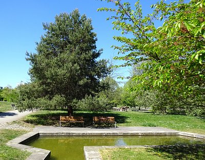 Lavičky