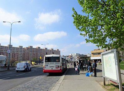 DSC01156 (2).JPG