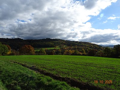 Zelená,