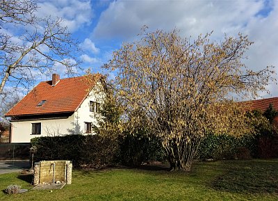 Předjaří